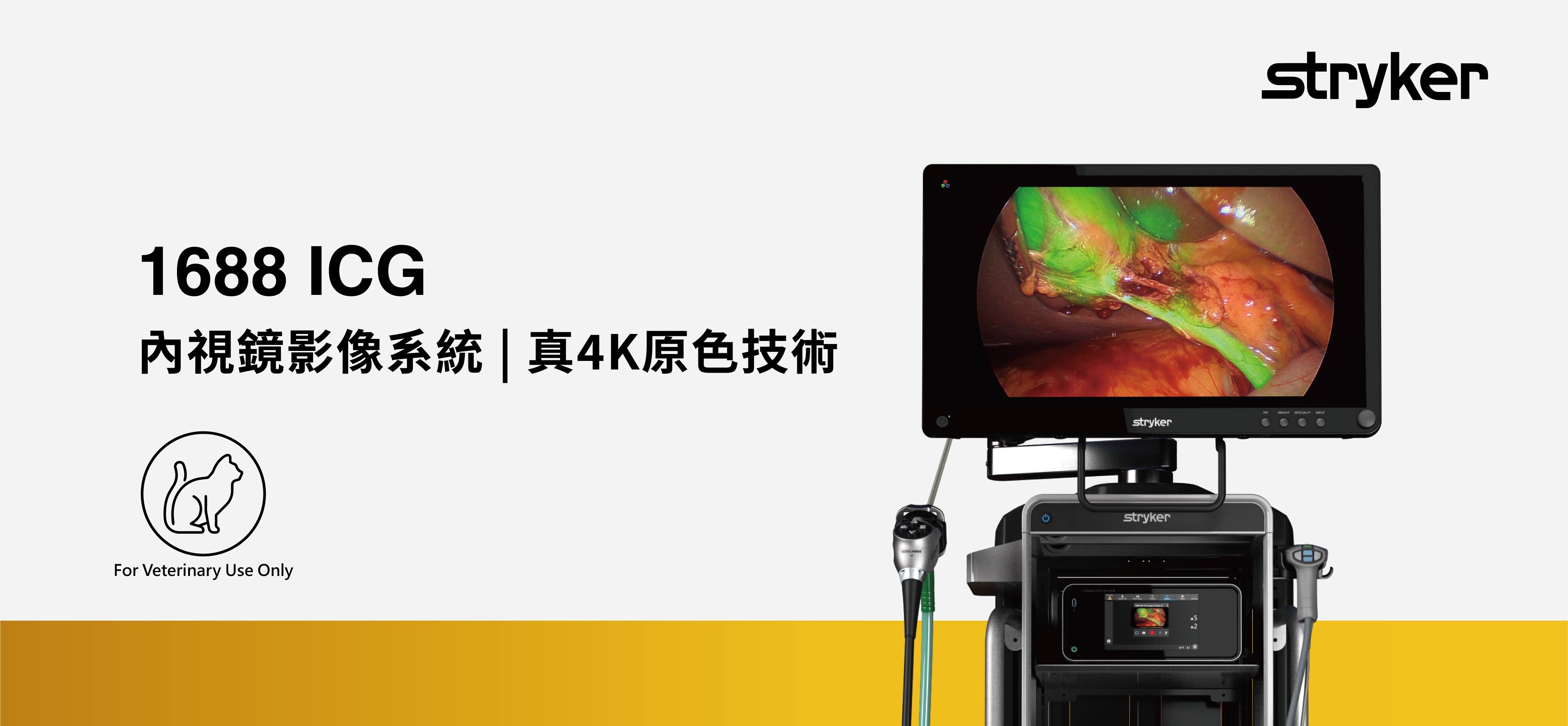 banner_工作區域 1 複本 11.jpg banner_工作區域 1 複本 11.jpg