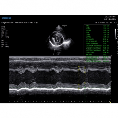 C1_20220702150250_13.jpg C1_20220702150250_13.jpg