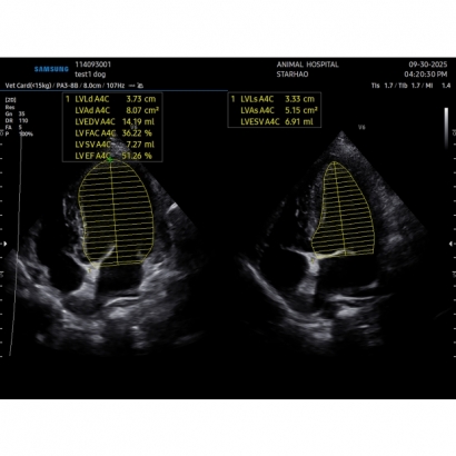 114093001_20251002143947_66.jpg 114093001_20251002143947_66.jpg