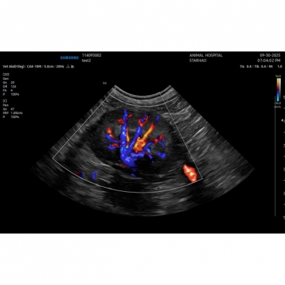 114093002_20251002143947_7.jpg 114093002_20251002143947_7.jpg