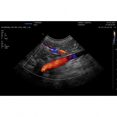 114093002_20251002143947_18.jpg 114093002_20251002143947_18.jpg