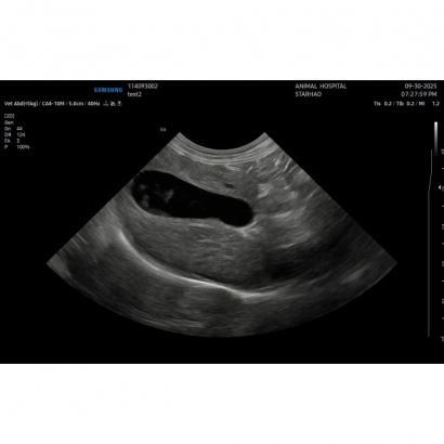 114093002_20251002143947_38.jpg 114093002_20251002143947_38.jpg