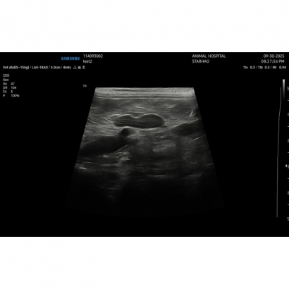 114093002_20251002143947_48.jpg 114093002_20251002143947_48.jpg