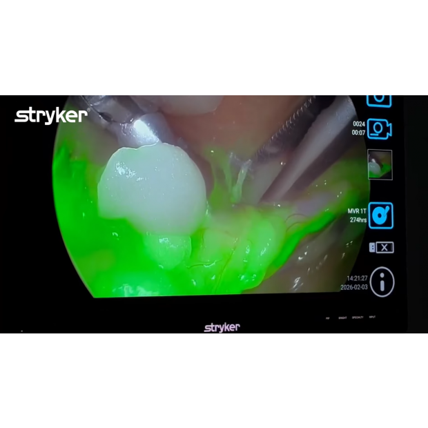 螢幕擷取畫面 2026-02-05 171919.png