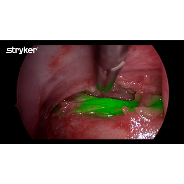 螢幕擷取畫面 2026-02-06 104259.png